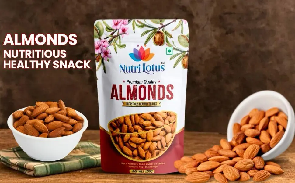 WhatsApp Image 2025-11-18 at 5.04.55 PM