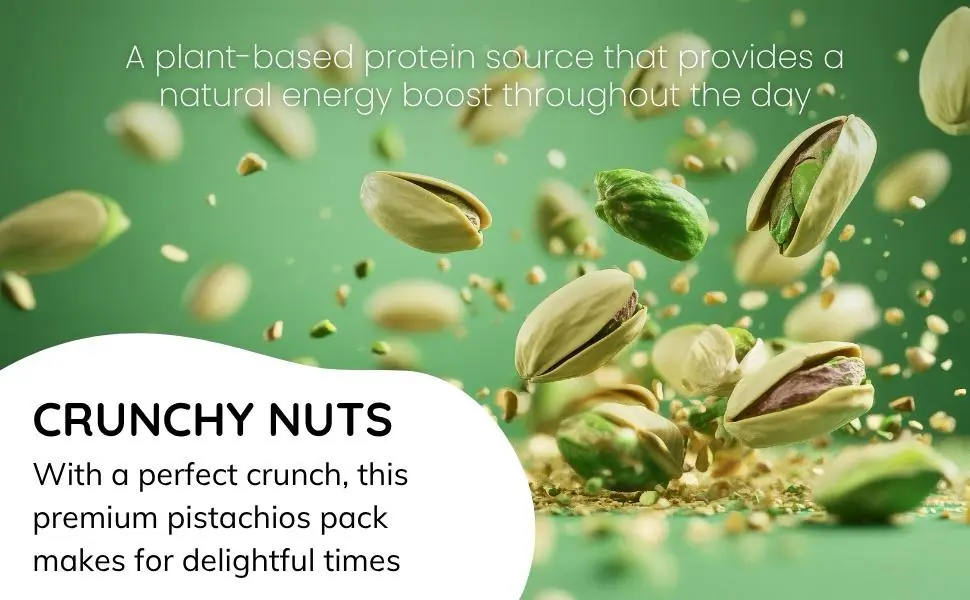 WhatsApp Image 2025-11-18 at 5.04.57 PM (1)